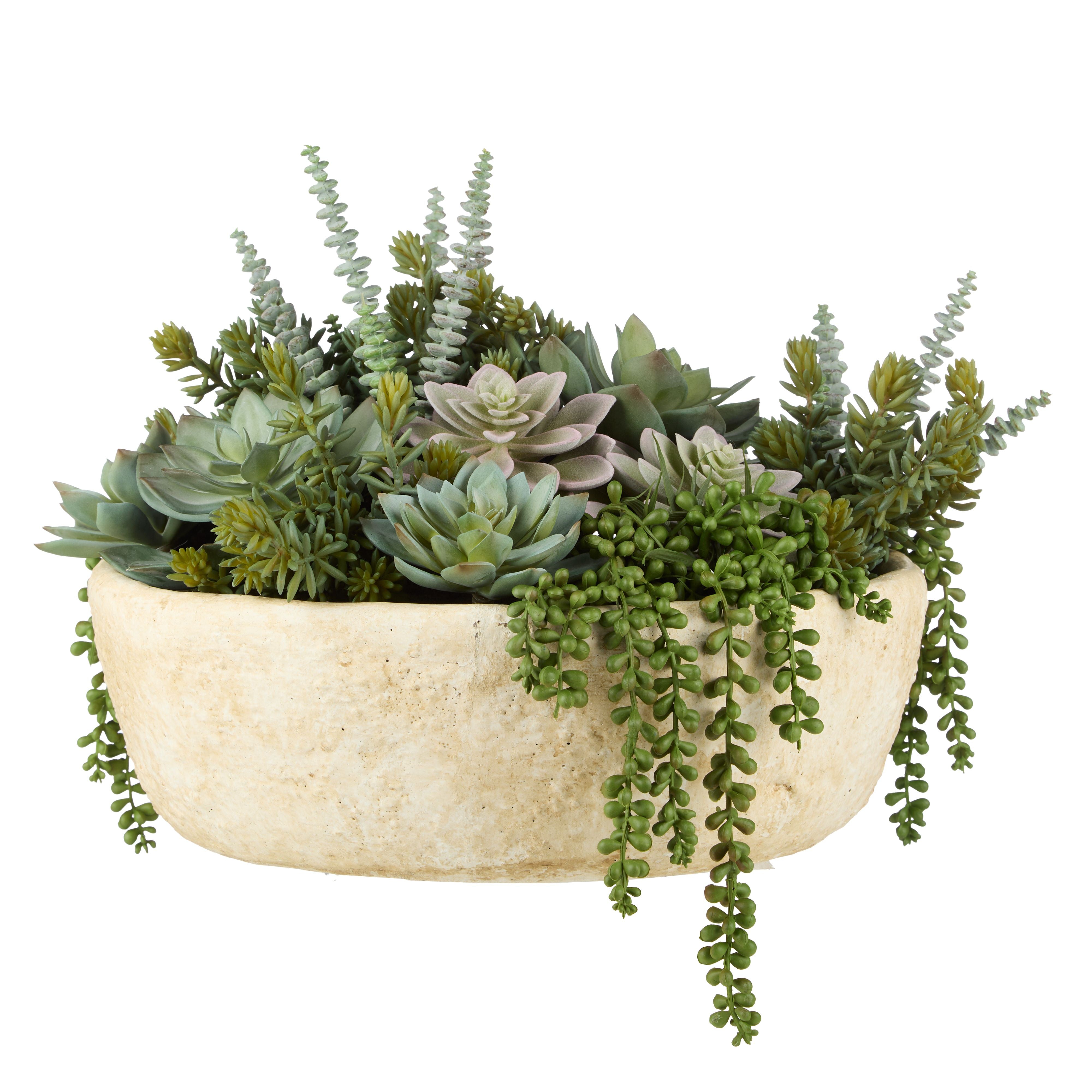online succulent shops Succulent Garden