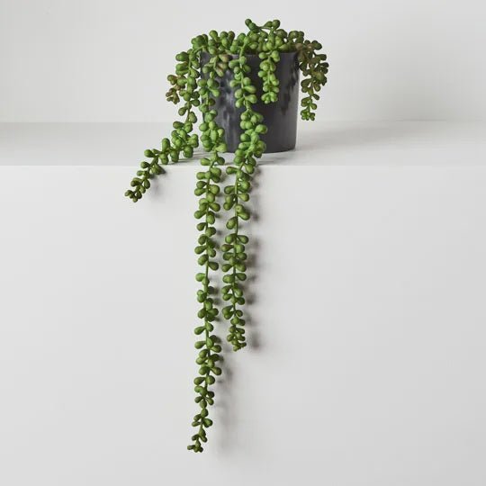 String of Pearls in Pot Green 45cm
