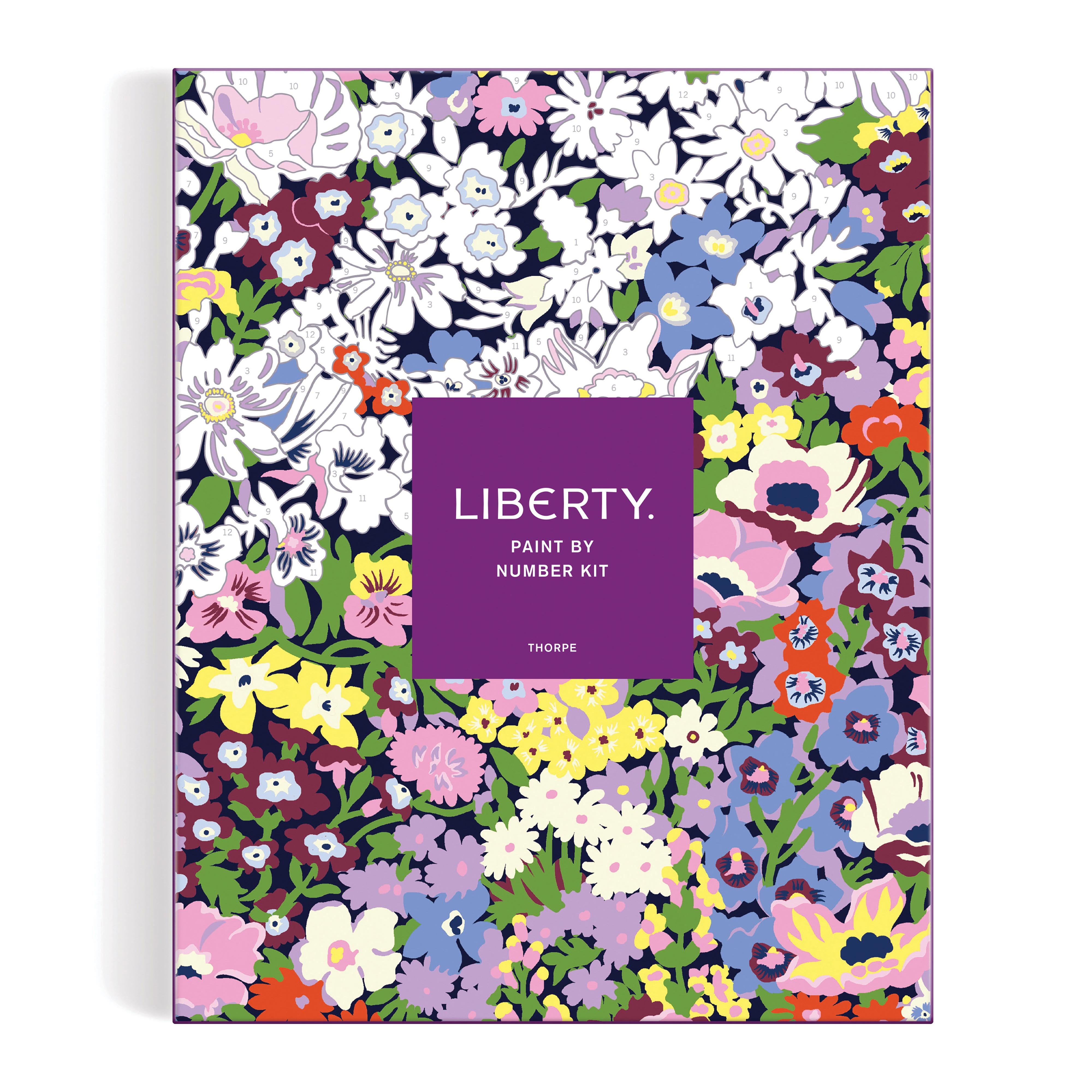 Liberty Paint By Numbers