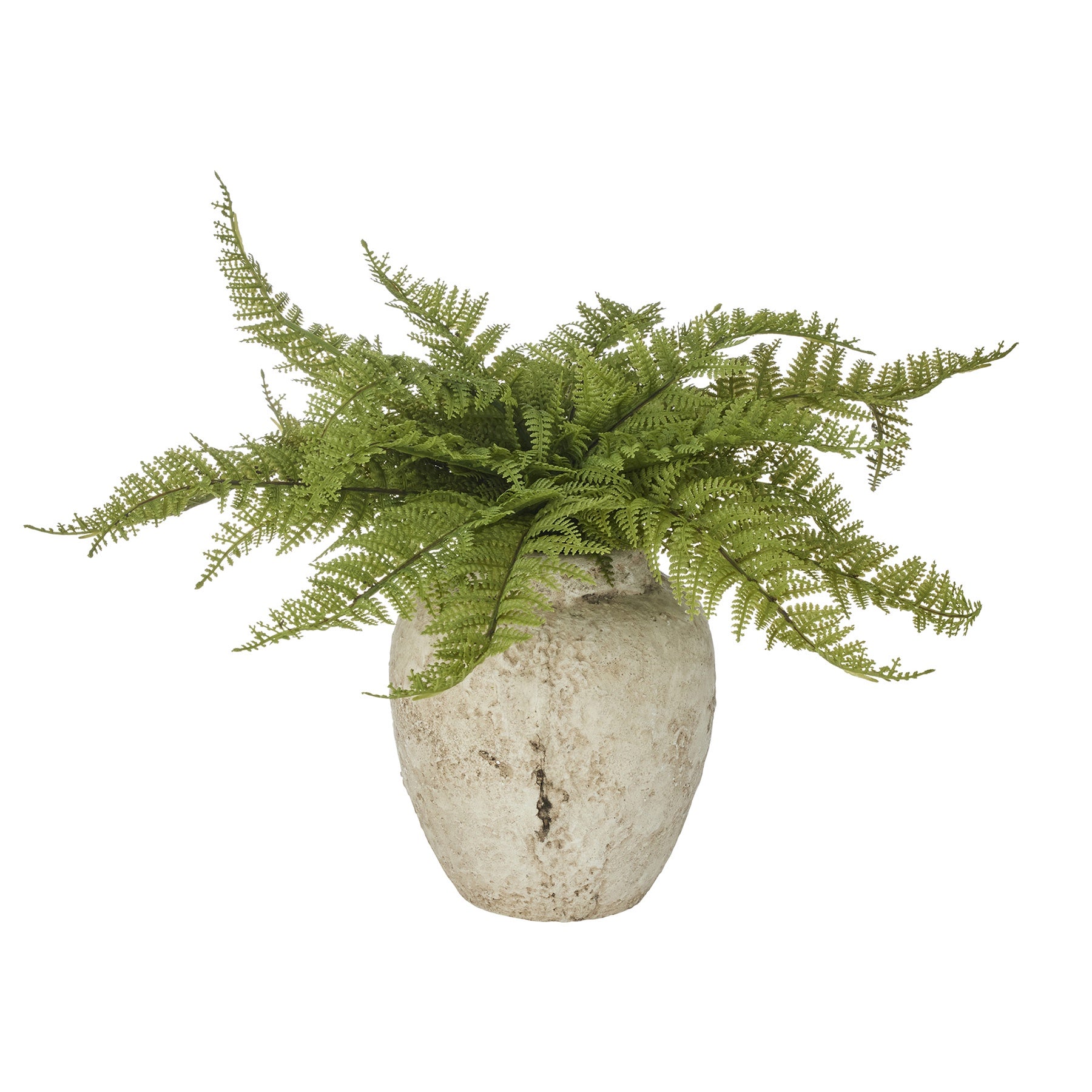 Fern in Ceramic Urn 17x20cm