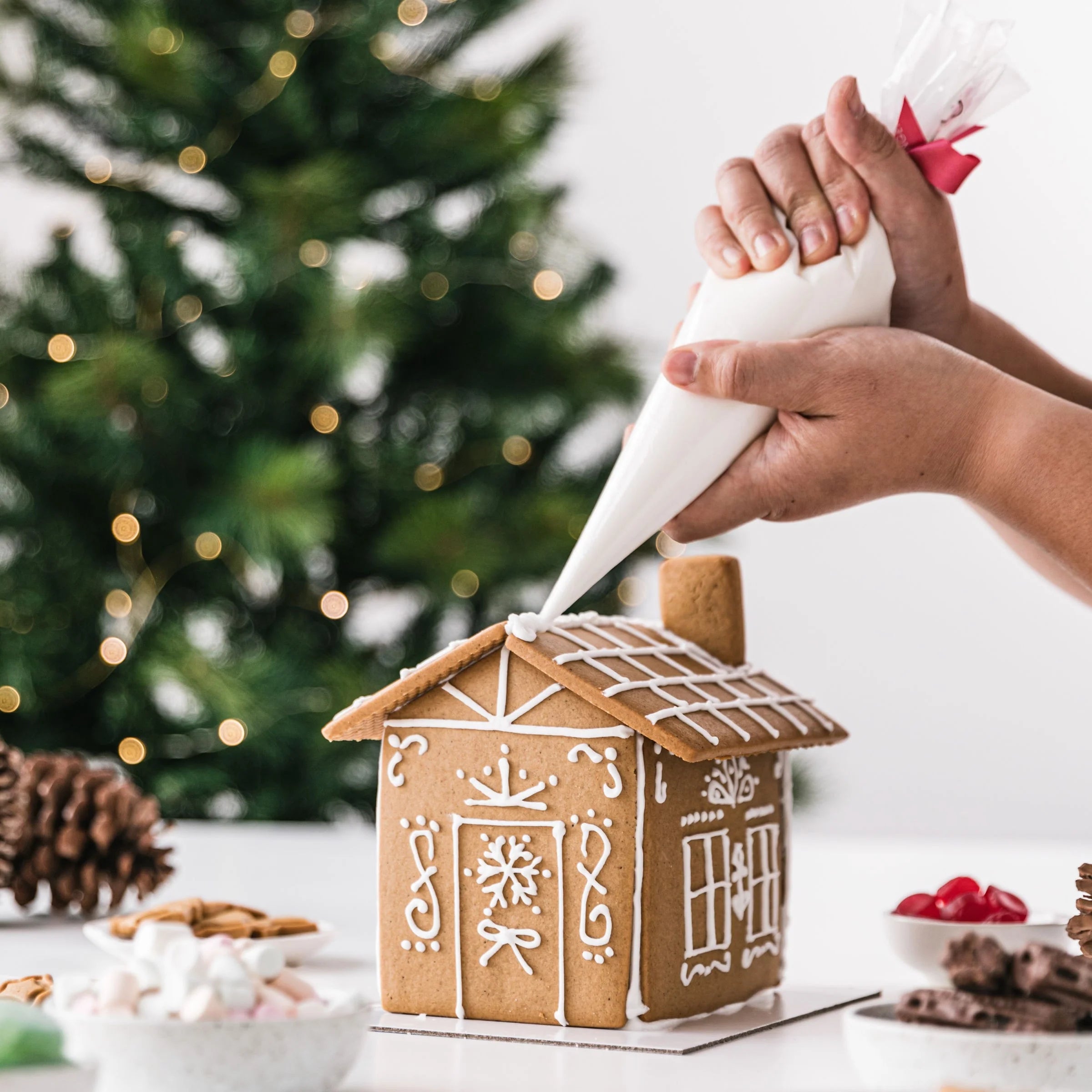 Gingerbread Folk House Kit 600g