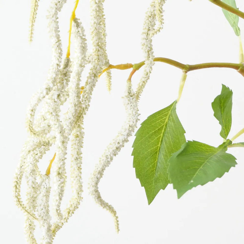 Amaranthus Hanging Plant White-Floral Interiors
