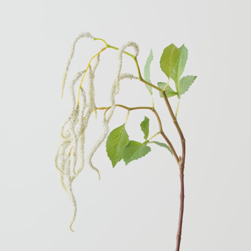 Amaranthus Hanging Plant White-Floral Interiors