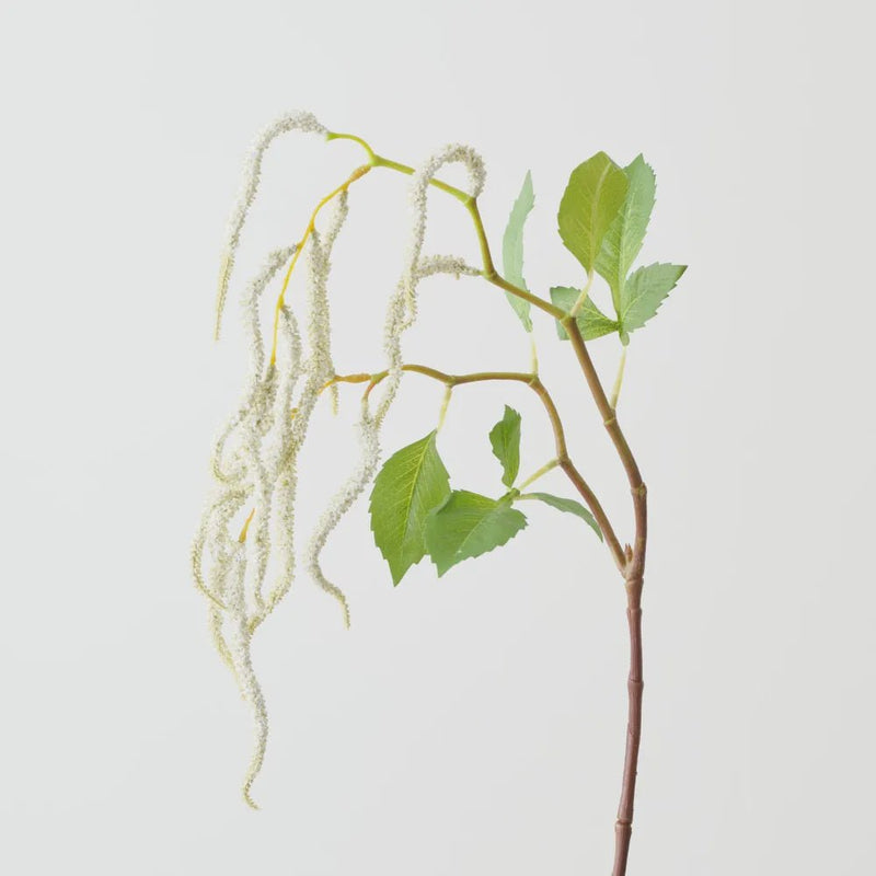 Amaranthus Hanging Plant White-Floral Interiors