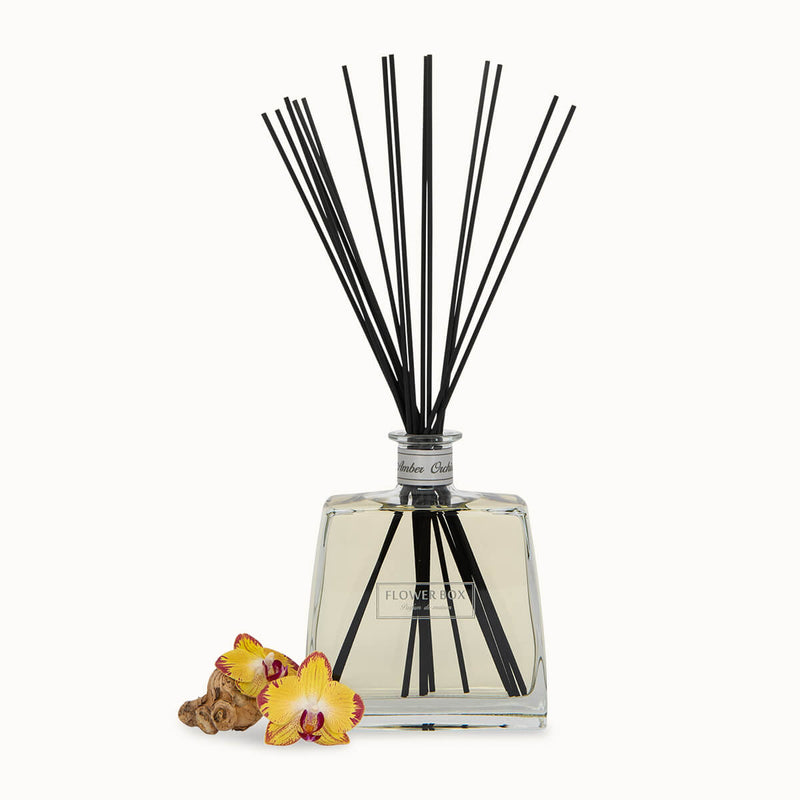 Reed diffuser with black sticks and a clear bottle on a white background