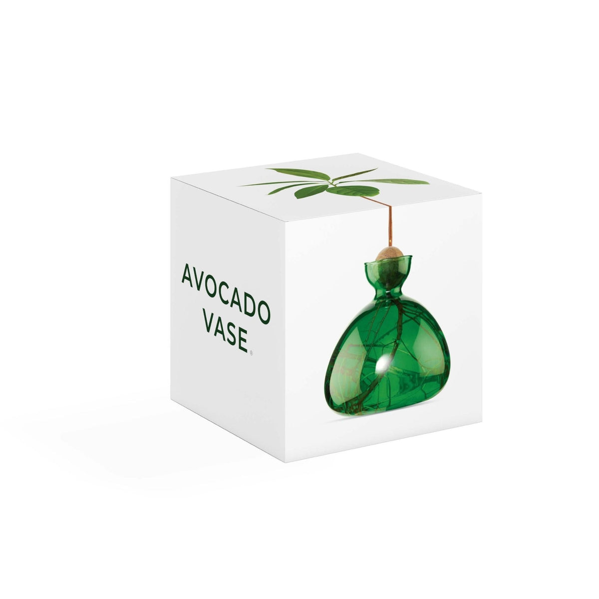 Avocado Vase Emerald-ILEX Studio