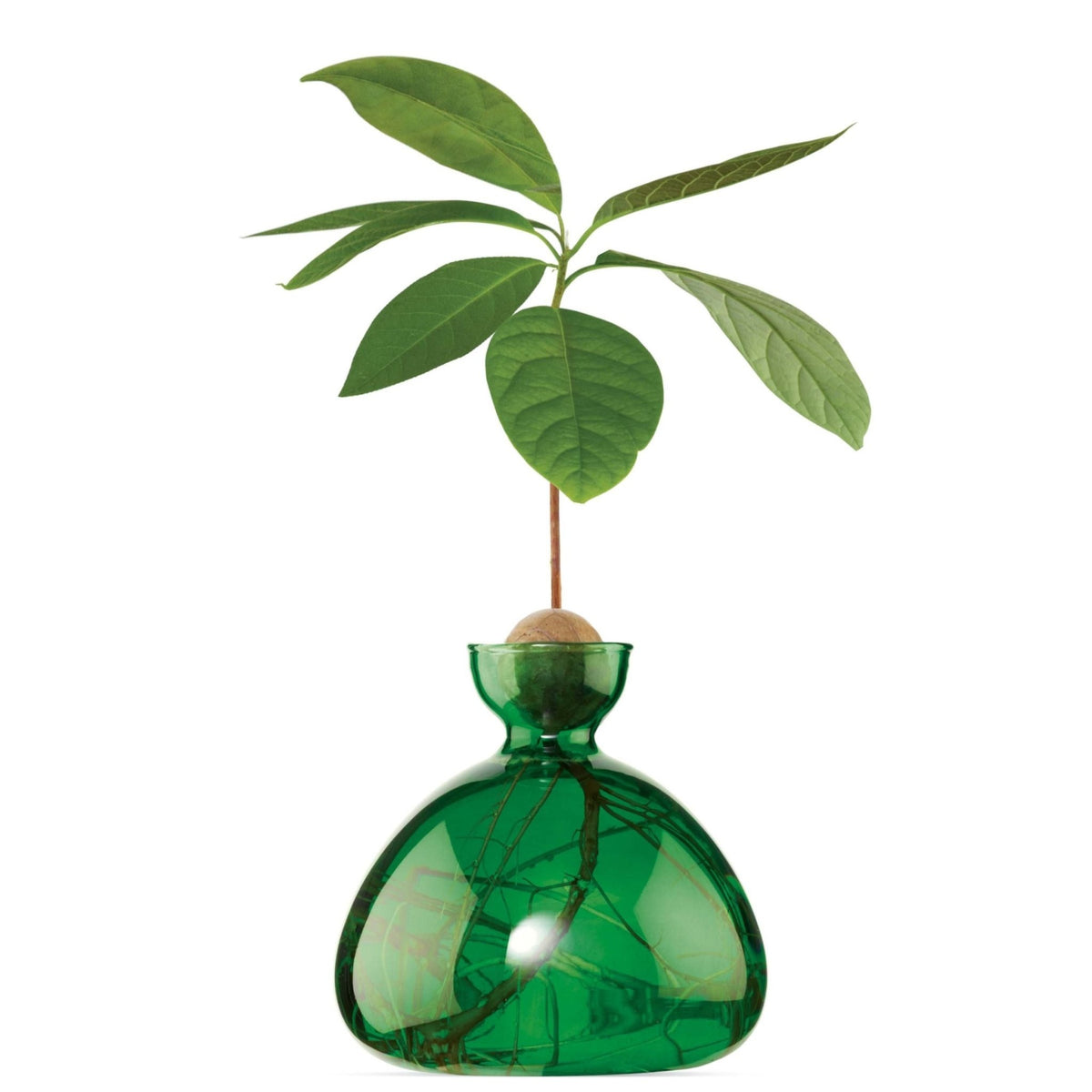 Avocado Vase Emerald-ILEX Studio