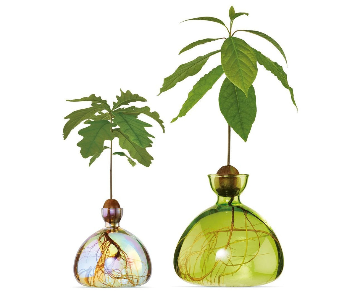 Avocado Vase Green-ILEX Studio