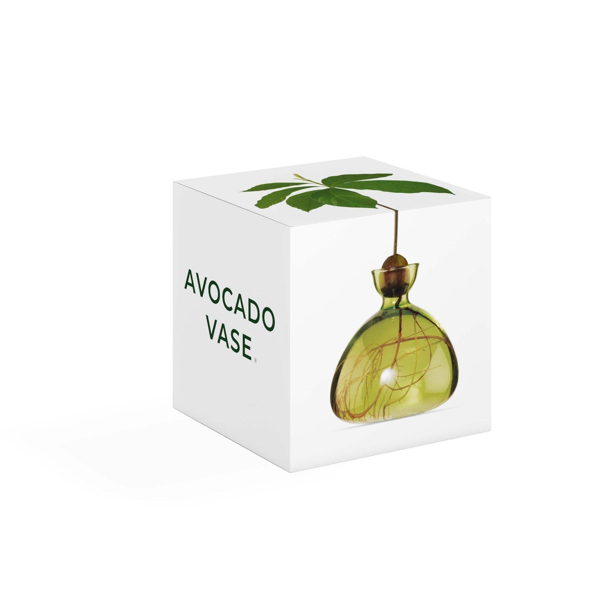 Avocado Vase Green-ILEX Studio