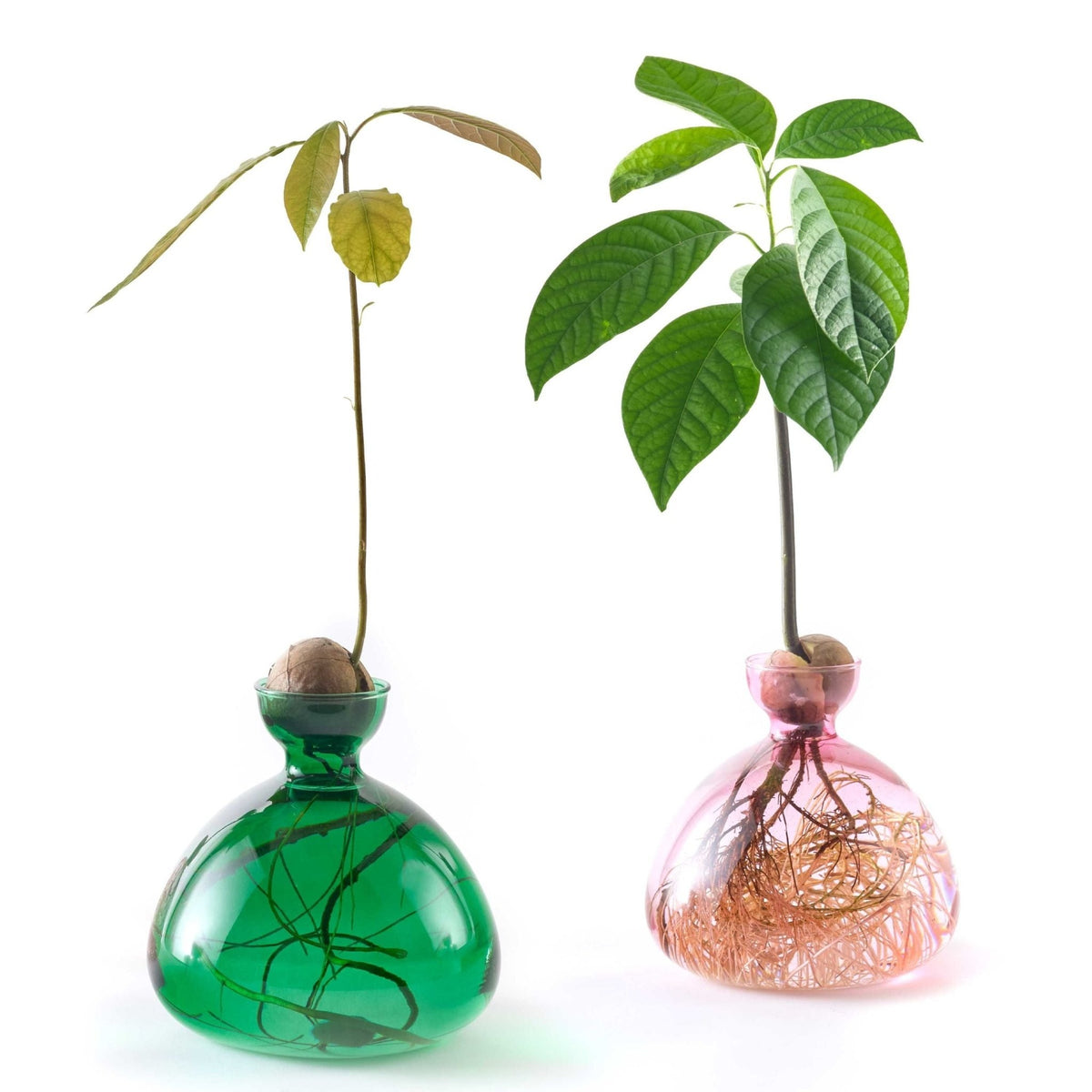 Avocado Vase Pink-ILEX Studio