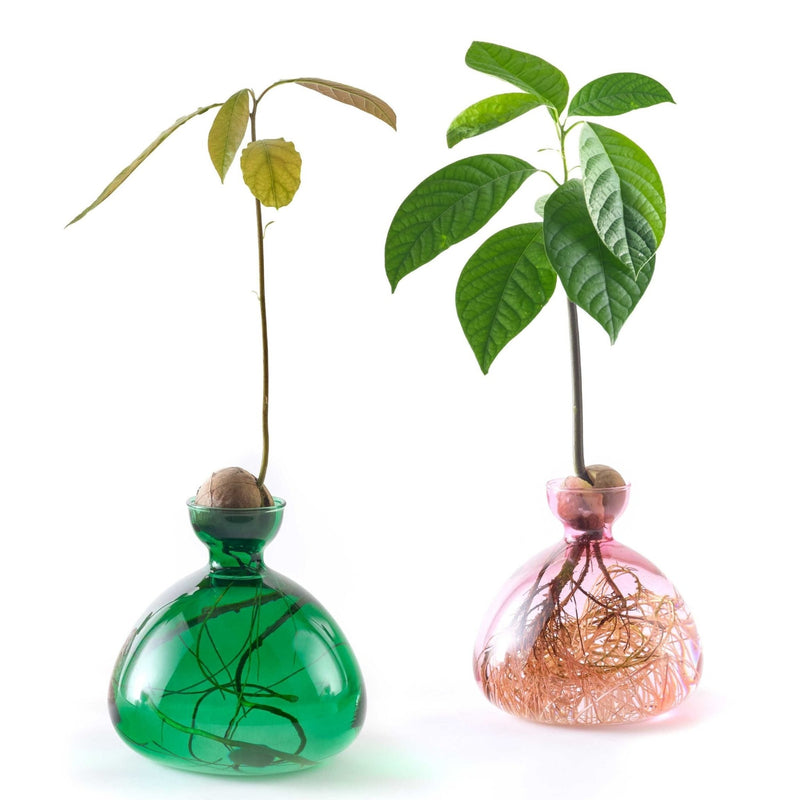 Avocado Vase Pink-ILEX Studio