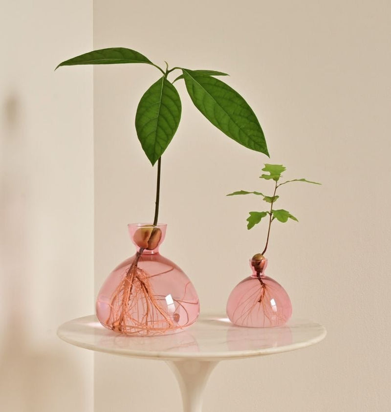 Avocado Vase Pink-ILEX Studio