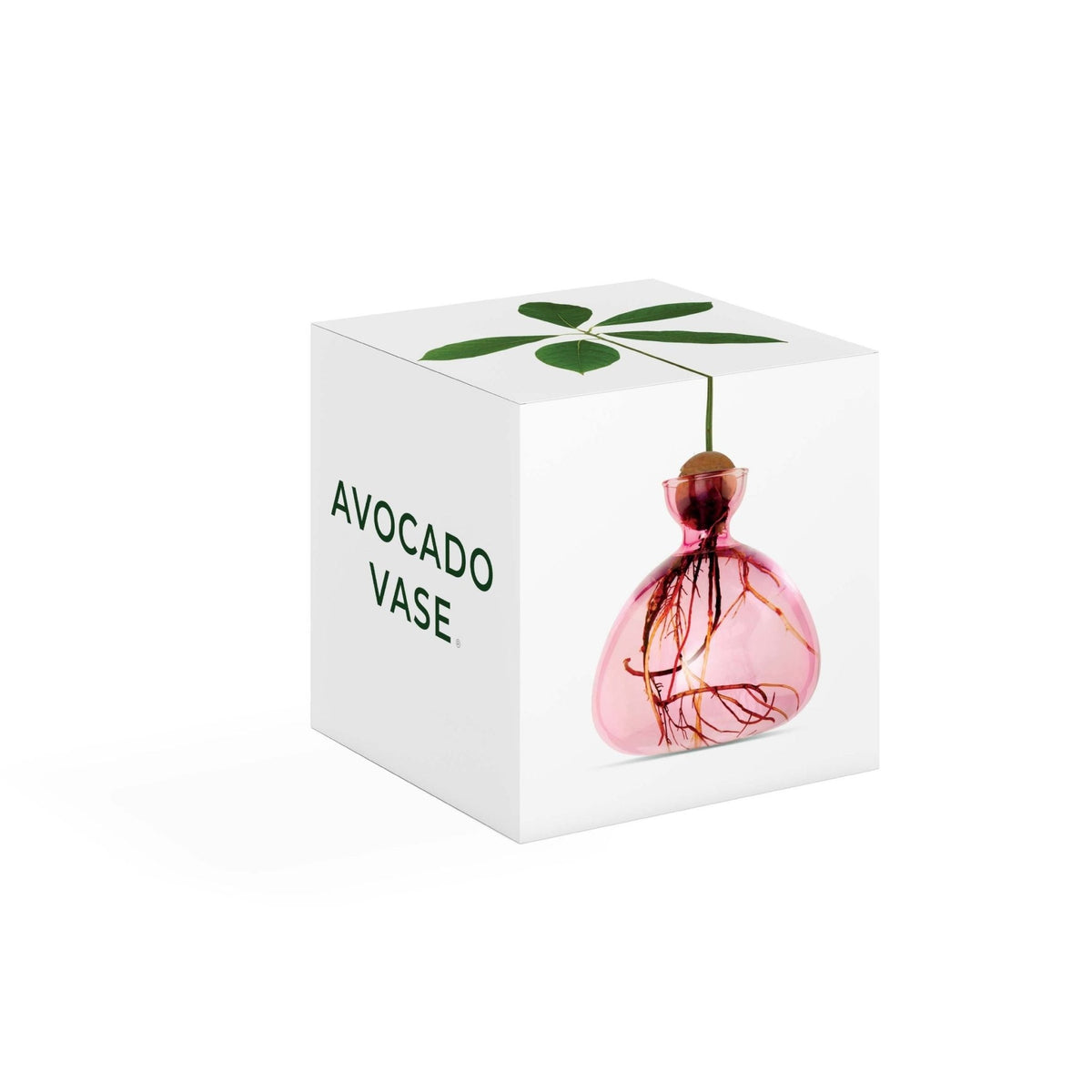 Avocado Vase Rose Pink-ILEX Studio