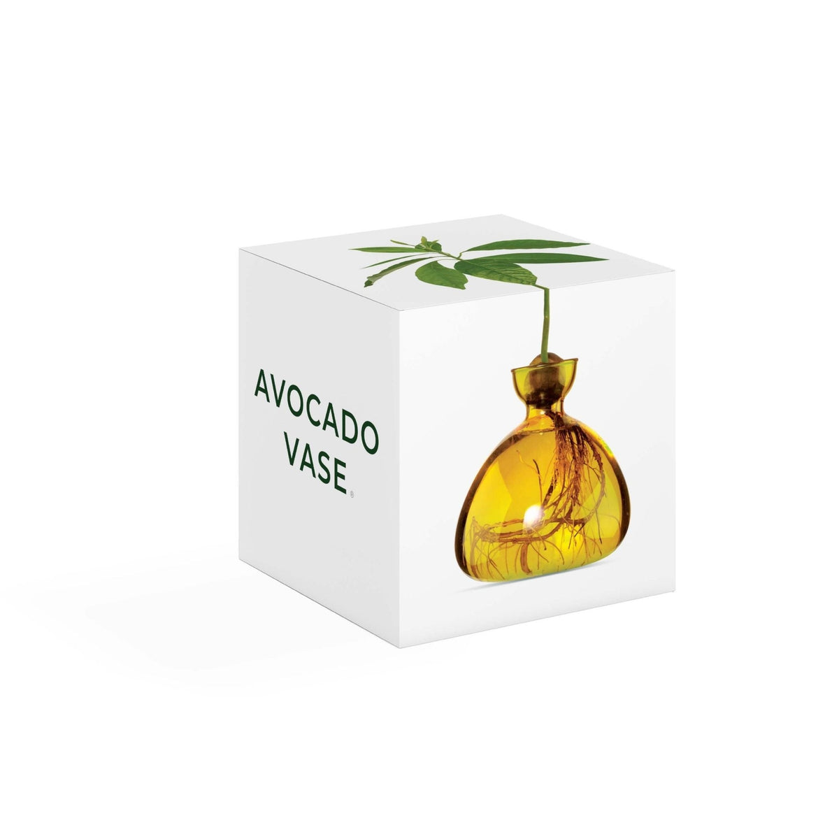 Avocado Vase Yellow-ILEX Studio