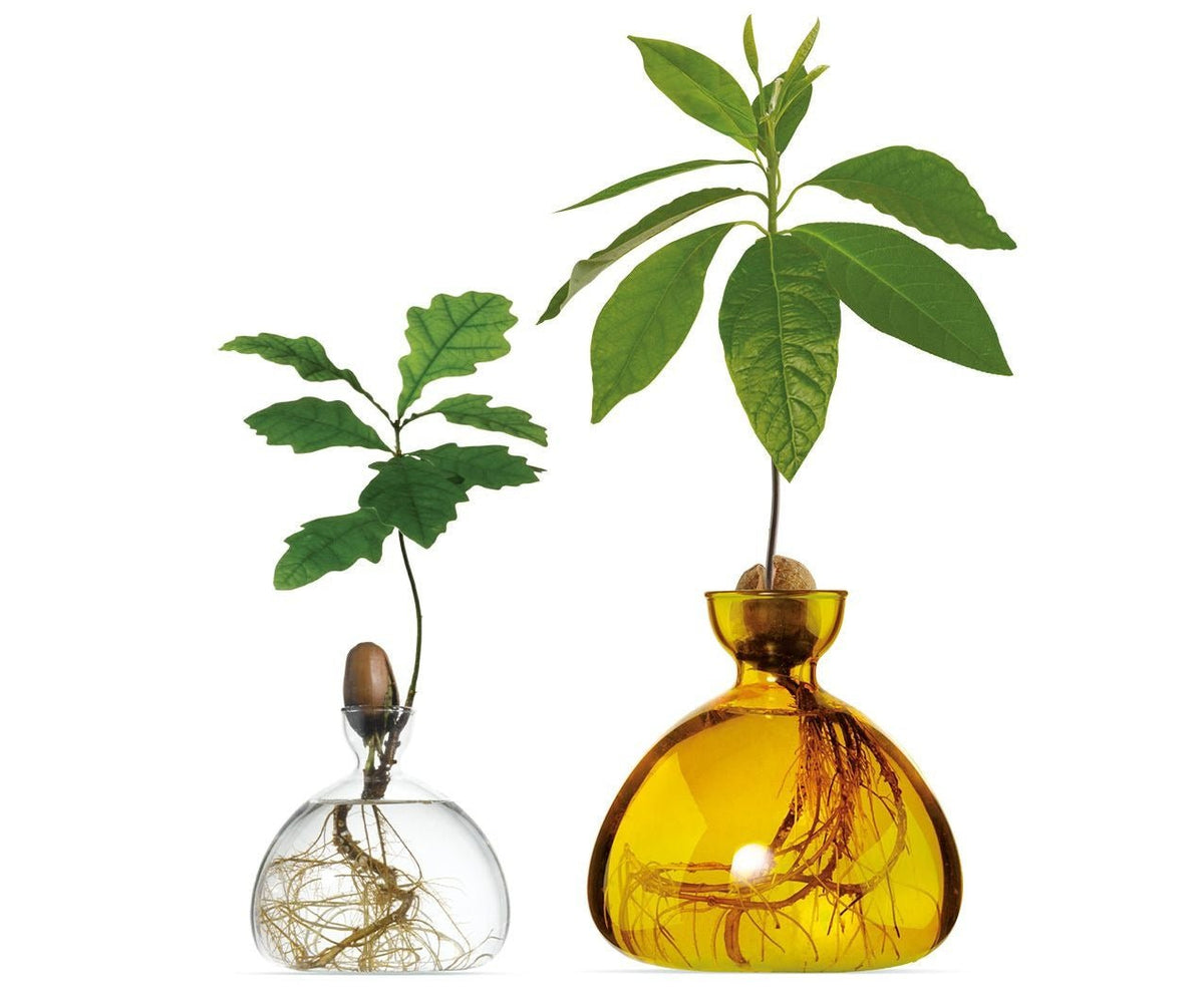 Avocado Vase Yellow-ILEX Studio