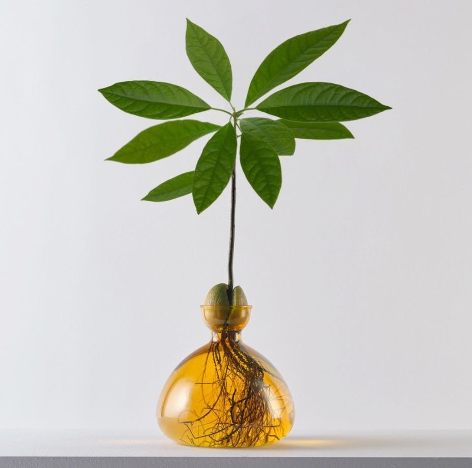 Avocado Vase Yellow-ILEX Studio
