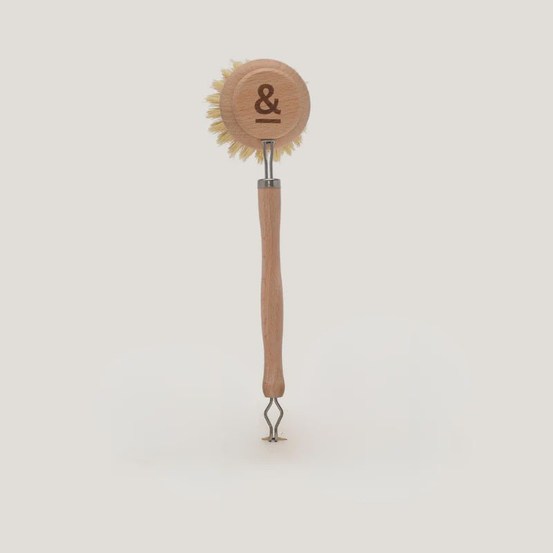Beechwood Dish Brush - Seed & Sprout