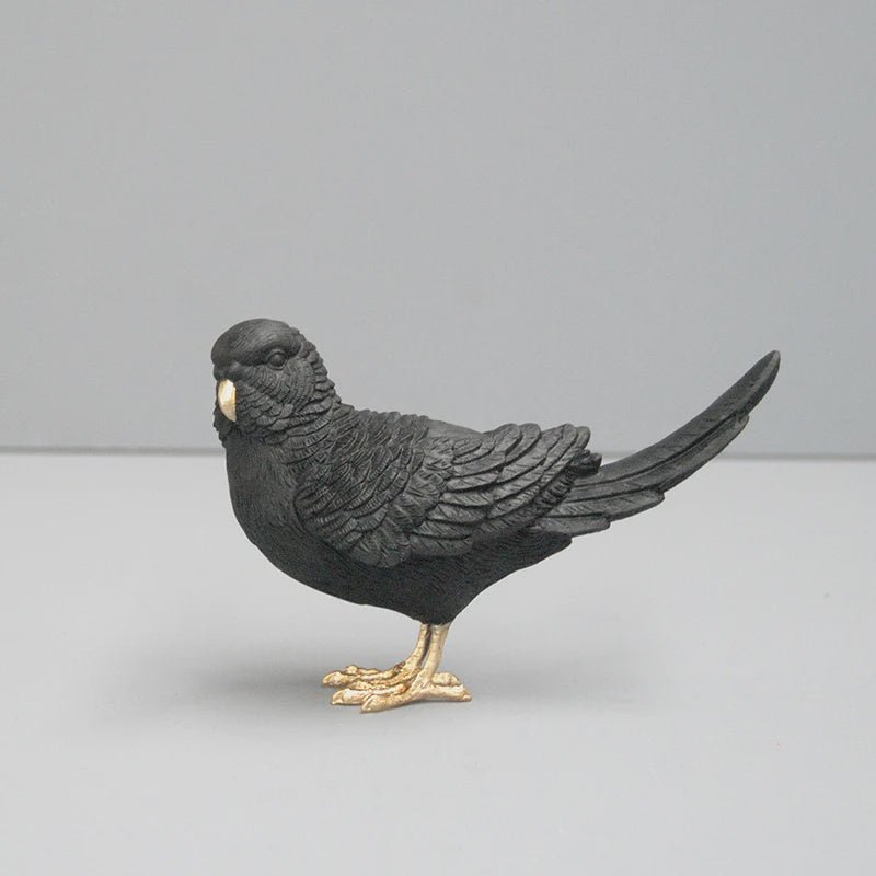 Budgie Black/Gold - White Moose