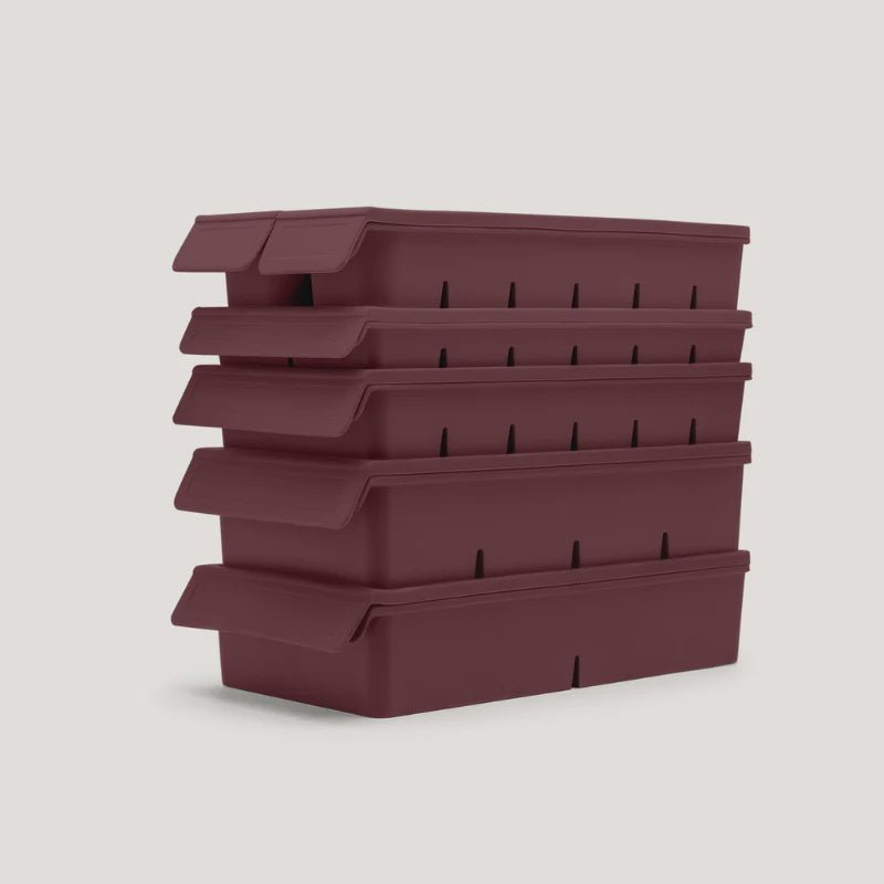 Complete Freezer Tray Set Mulberry-Seed & Sprout