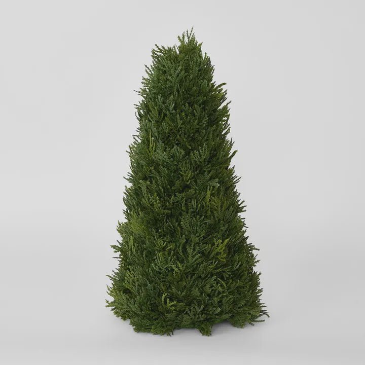 Cypress Cone 43cm - Florabelle