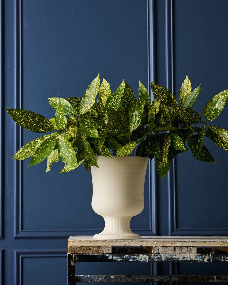 Devon Vase Trophy Life Vintage White - Robert Gordon