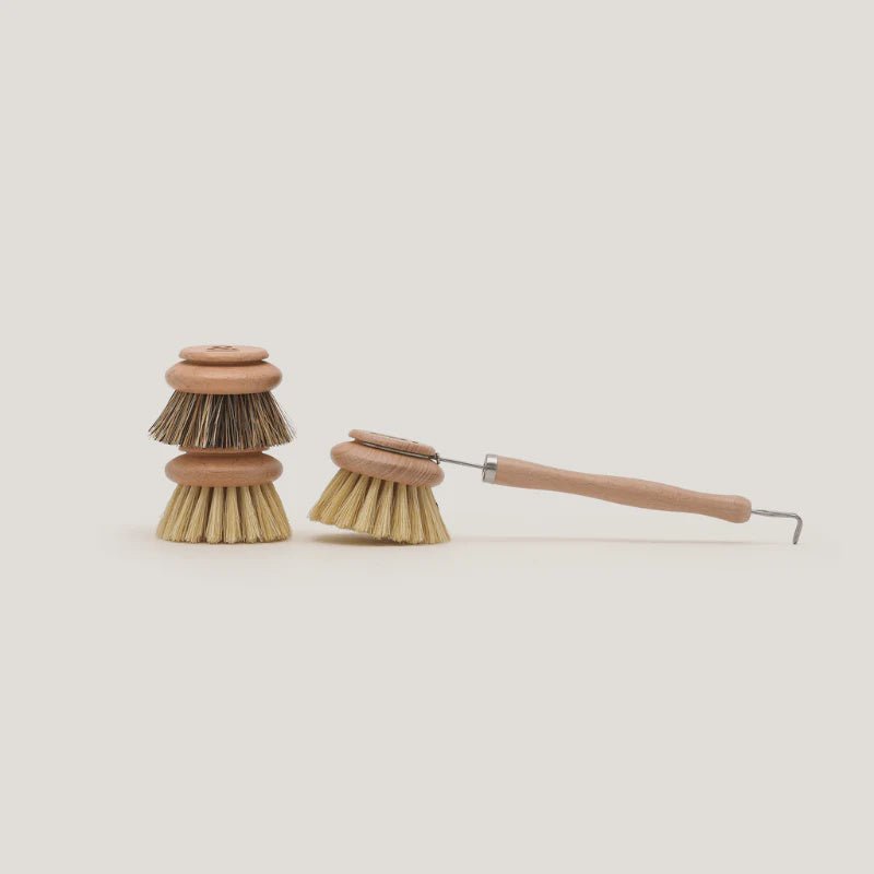 Dish Brush Set - Seed & Sprout