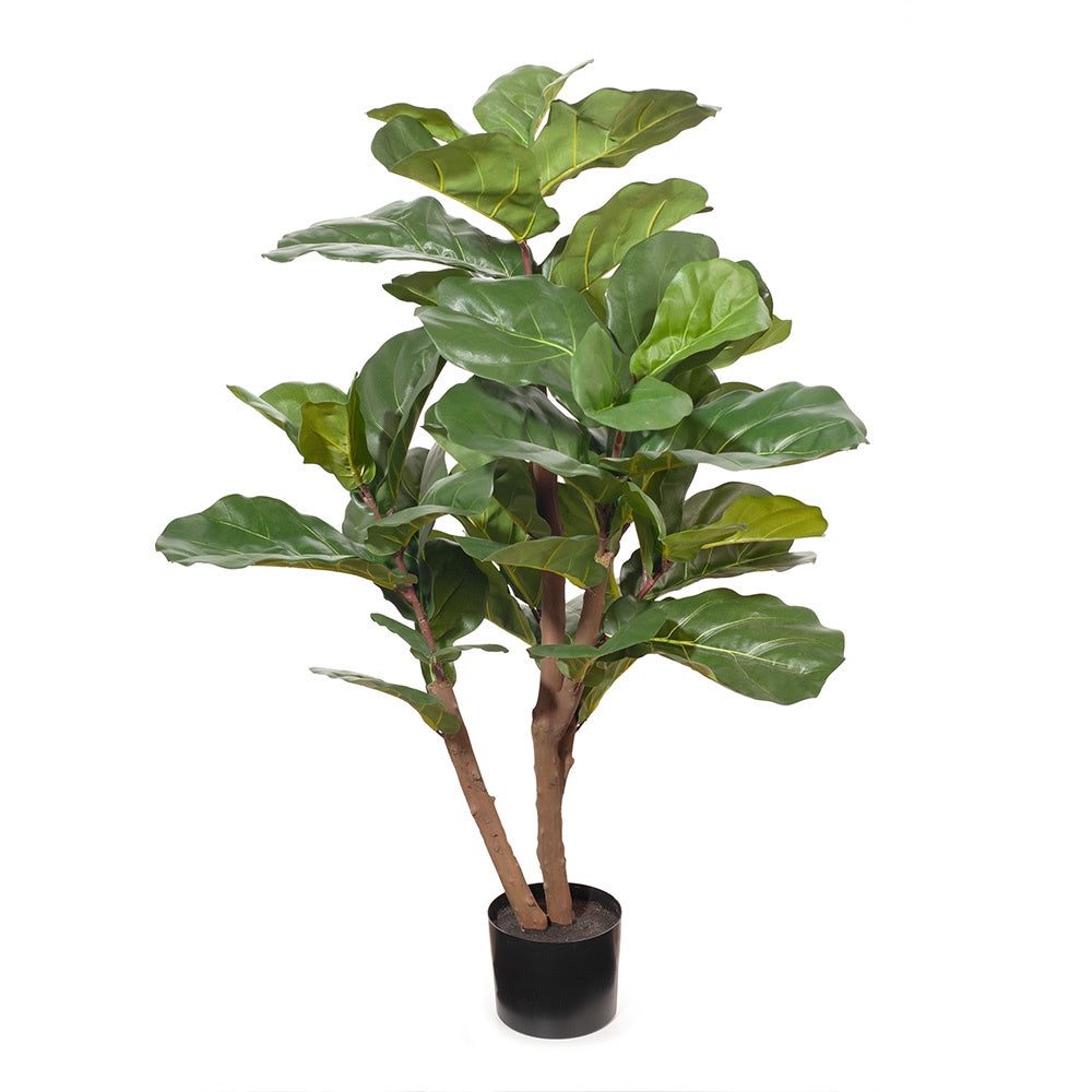 Fiddle Leaf Tree 120cmH