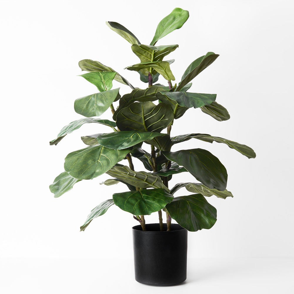 Fiddle Leaf Tree 92cmH