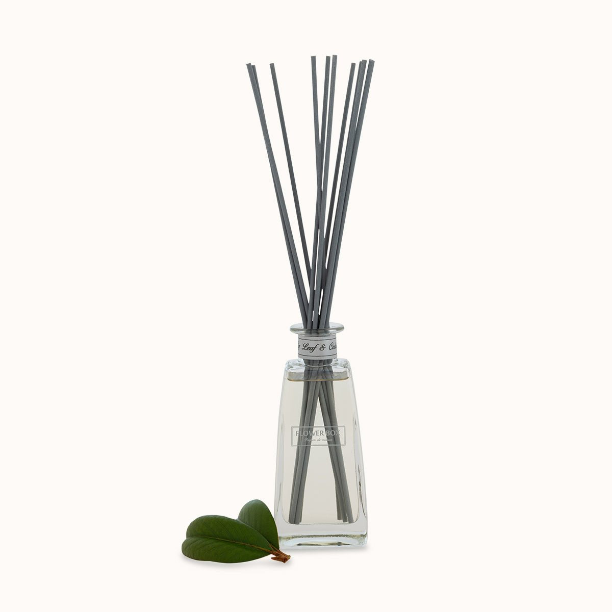 Fig & Cedar Reed Diffuser 210ml 4 months