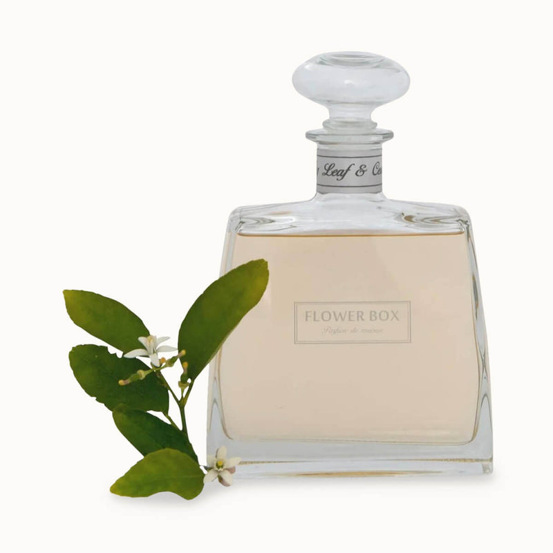 Fig Leaf & Cedar Hallmark Diffuser - Flower Box