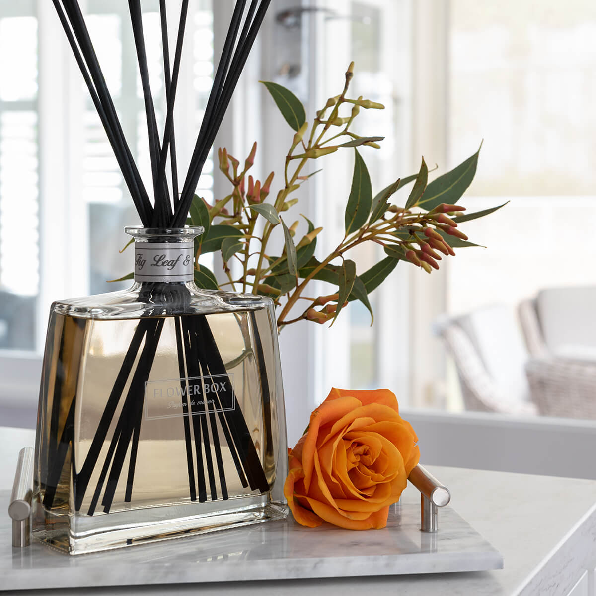 Fig Leaf & Cedar Hallmark Diffuser - Flower Box