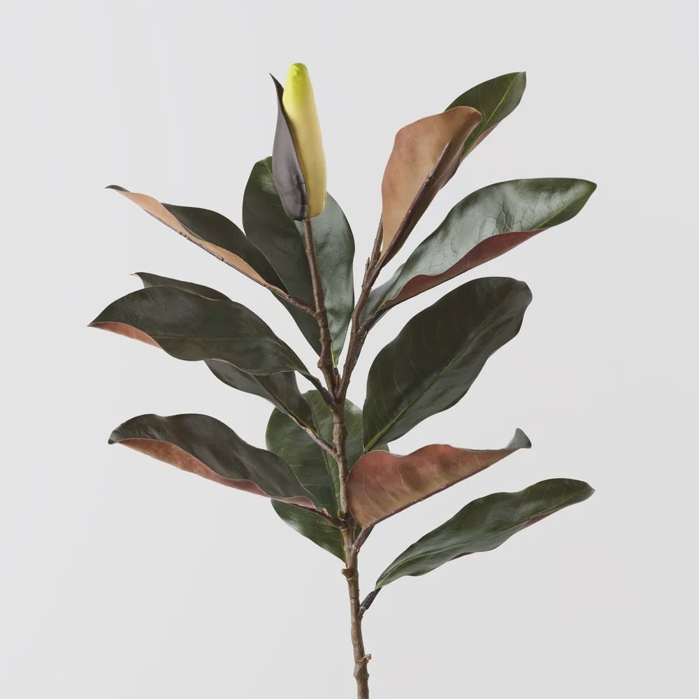 Magnolia Bud Leaf Spray - Floral Interiors