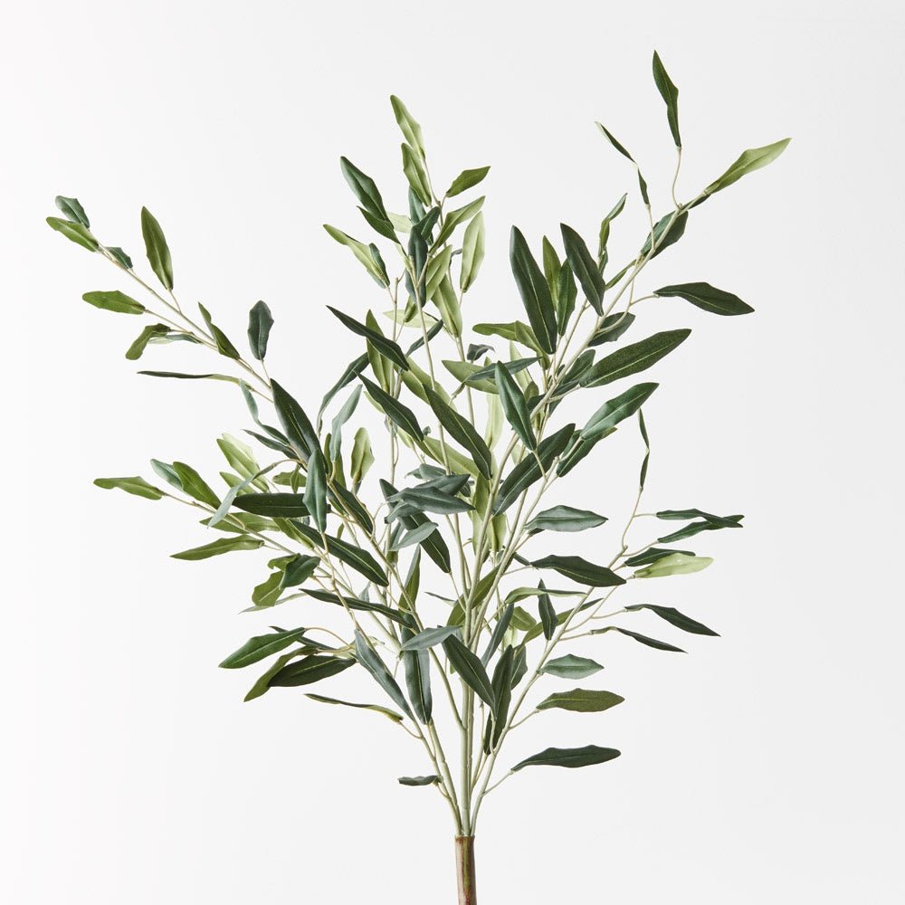 Olive Leaf Bush 58cmL - Floral Interiors