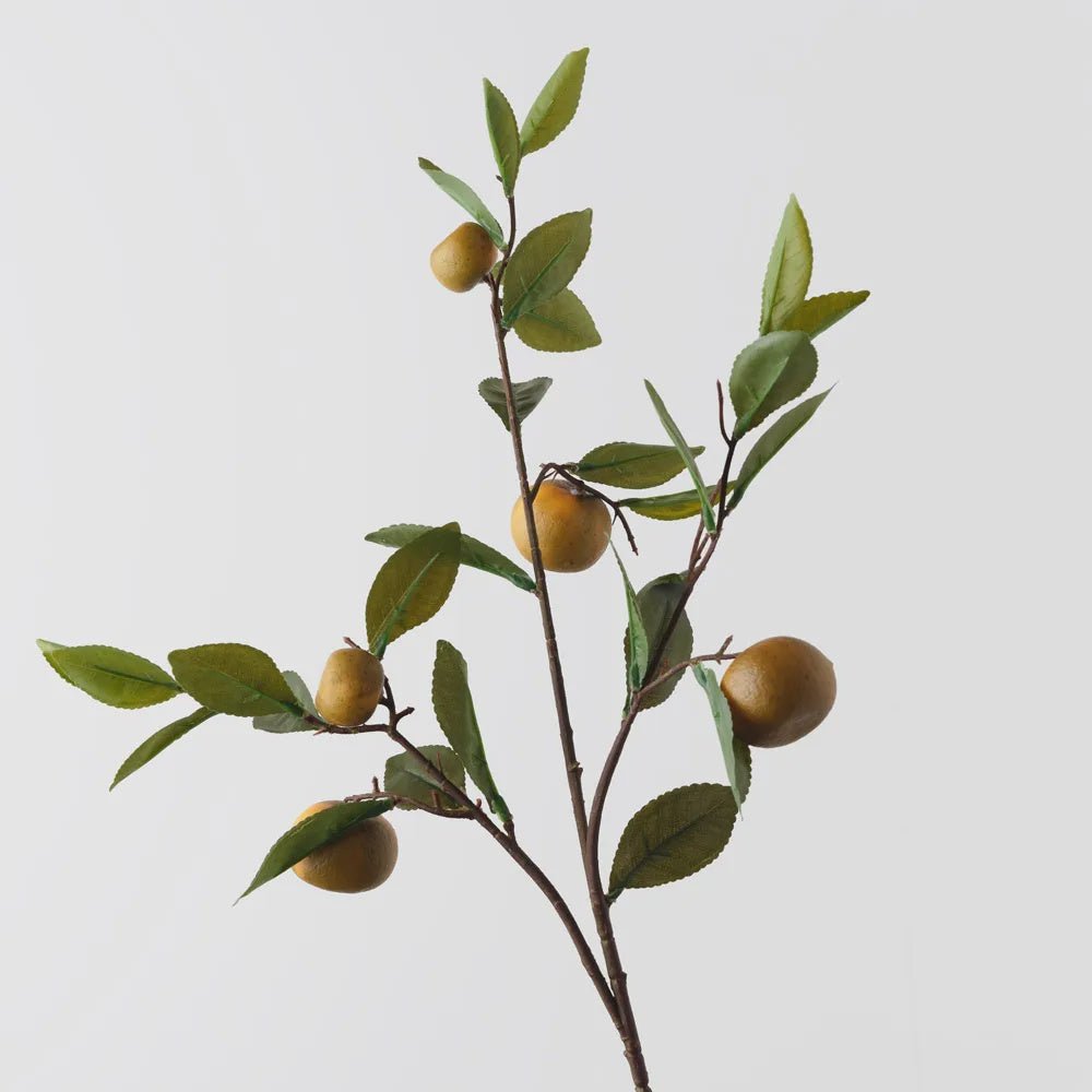 Orange Spray - Floral Interiors