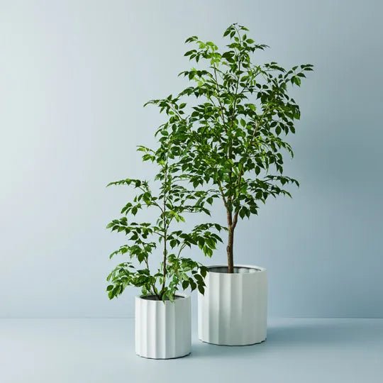 Parko Pot White - Floral Interiors