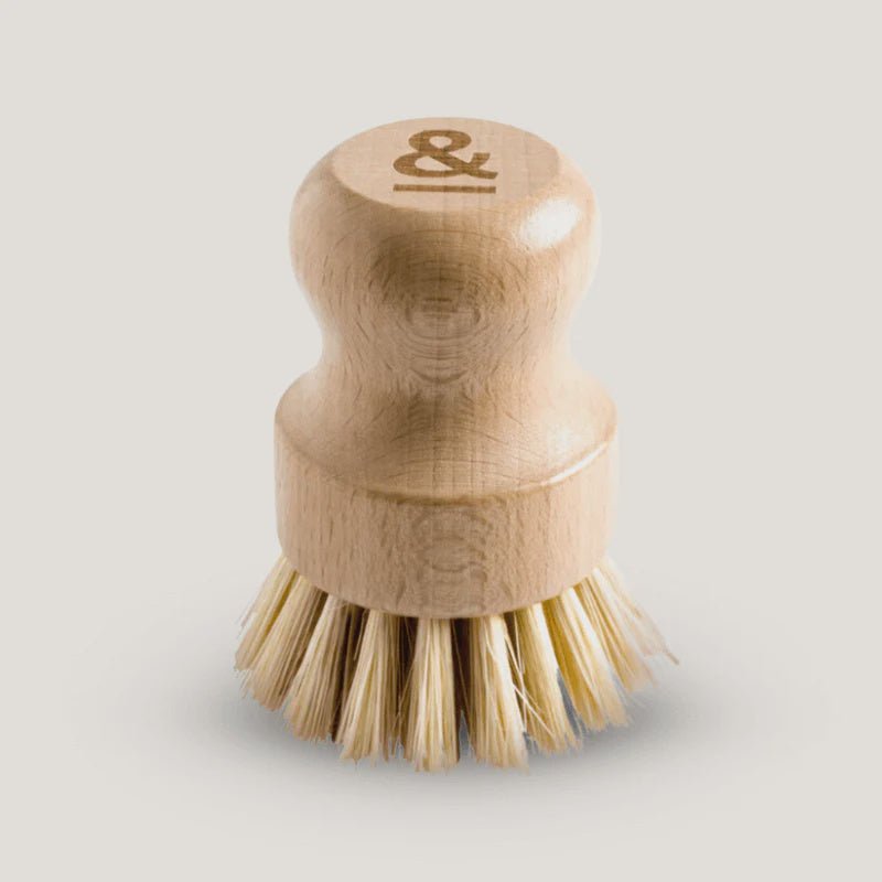 Pot Scrubber Beechwood - Seed & Sprout