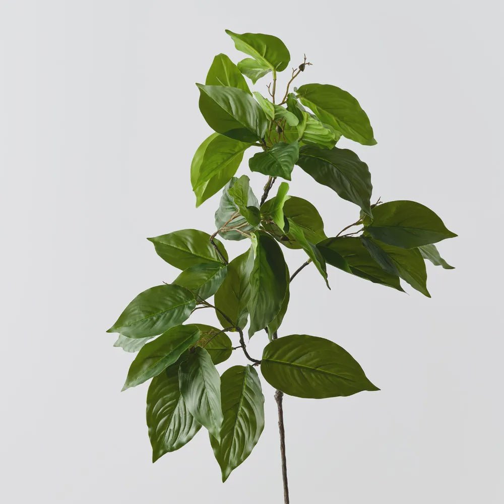 Salal Leaf Spray Green - Floral Interiors