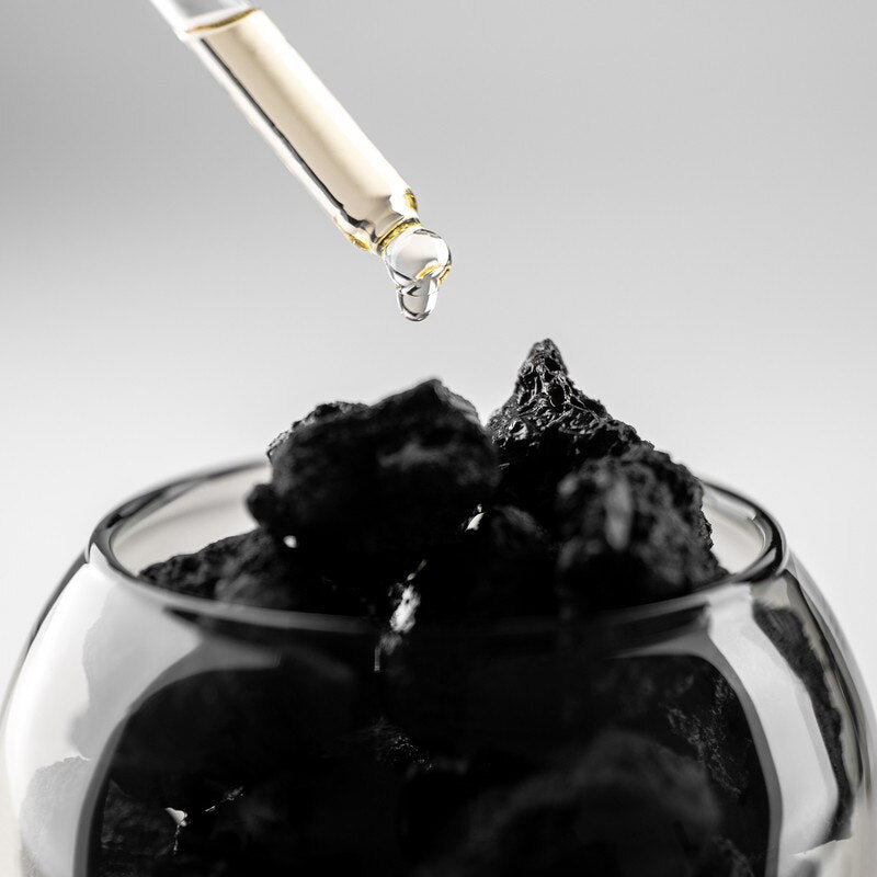 Scented Volcanic Rock Set - Study of Trees - Telegram Co