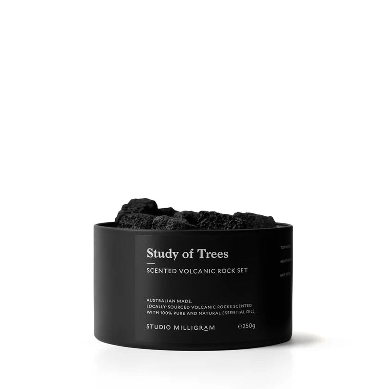 Scented Volcanic Rocks - Tin 300g - Study of Trees - Telegram Co