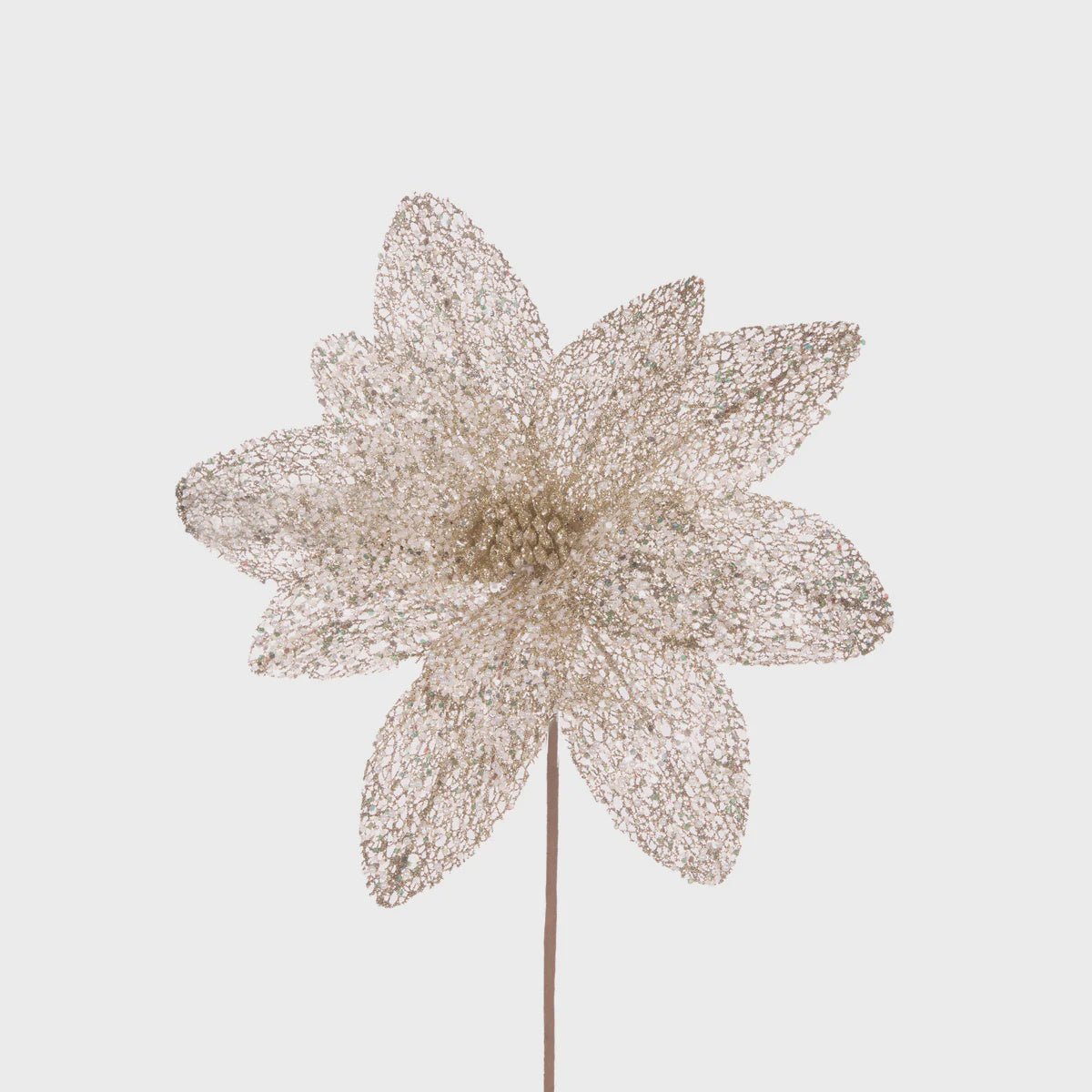 Sheer Champagne Glittered Poinsetta - Holly & Ivy
