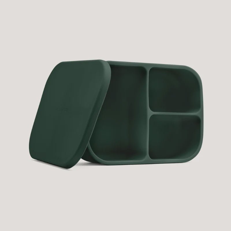 Silicone Bento Box Moss - Seed & Sprout