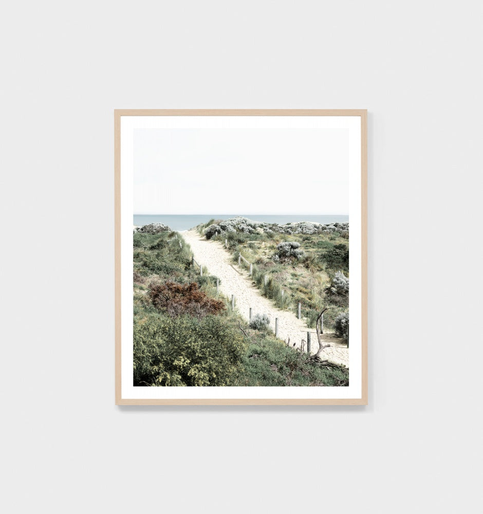 Through The Dunes Framed Print