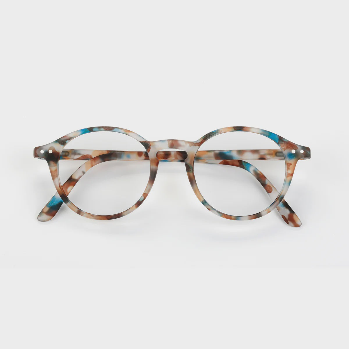 Reading Collection D - Blue Tortoise