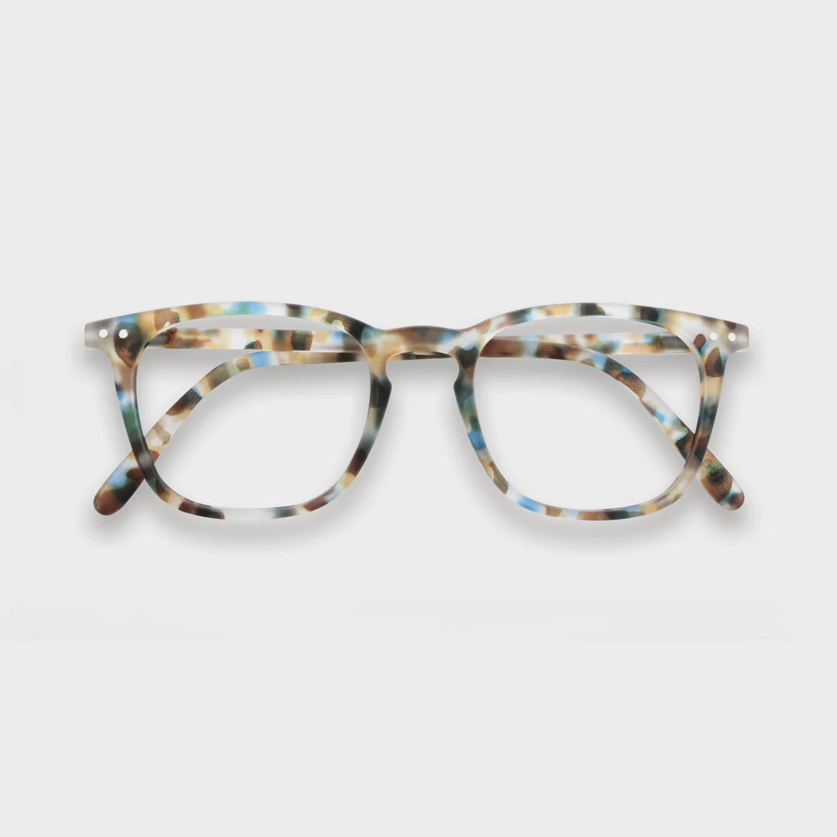 Reading Collection E - Blue Tortoise