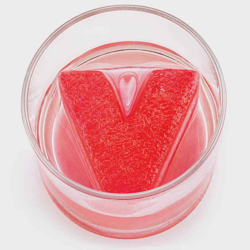 Letter V Ice Tray